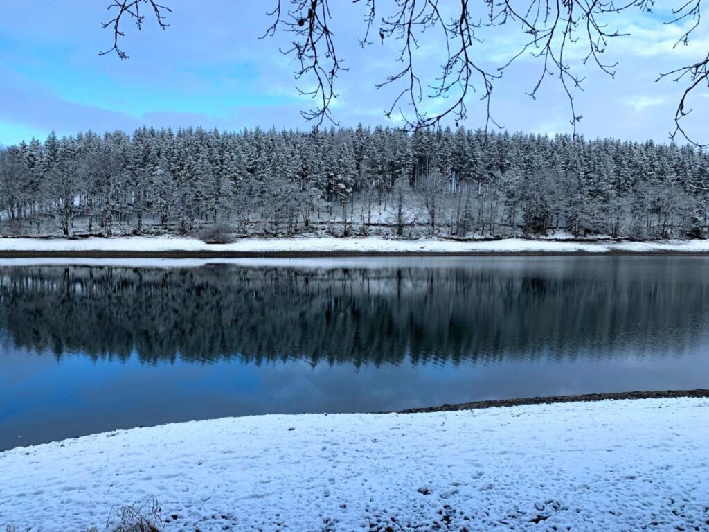 Landscape Lake Bütchenbach in winter